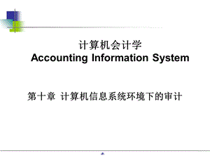 计算机信息系统环境下的审计.ppt