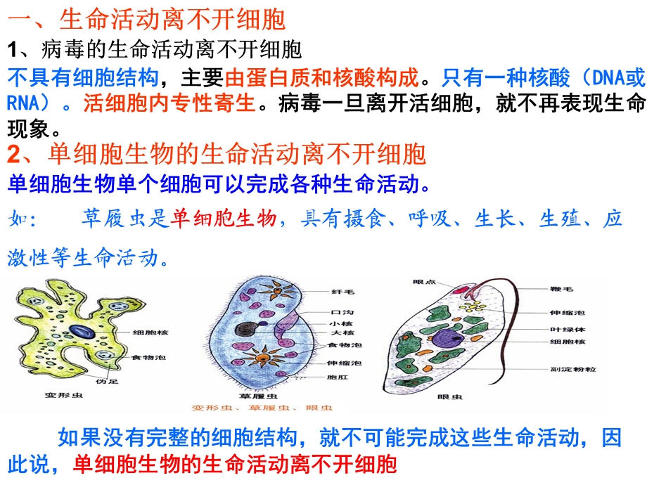 高一生物必修一第一节.ppt_第3页