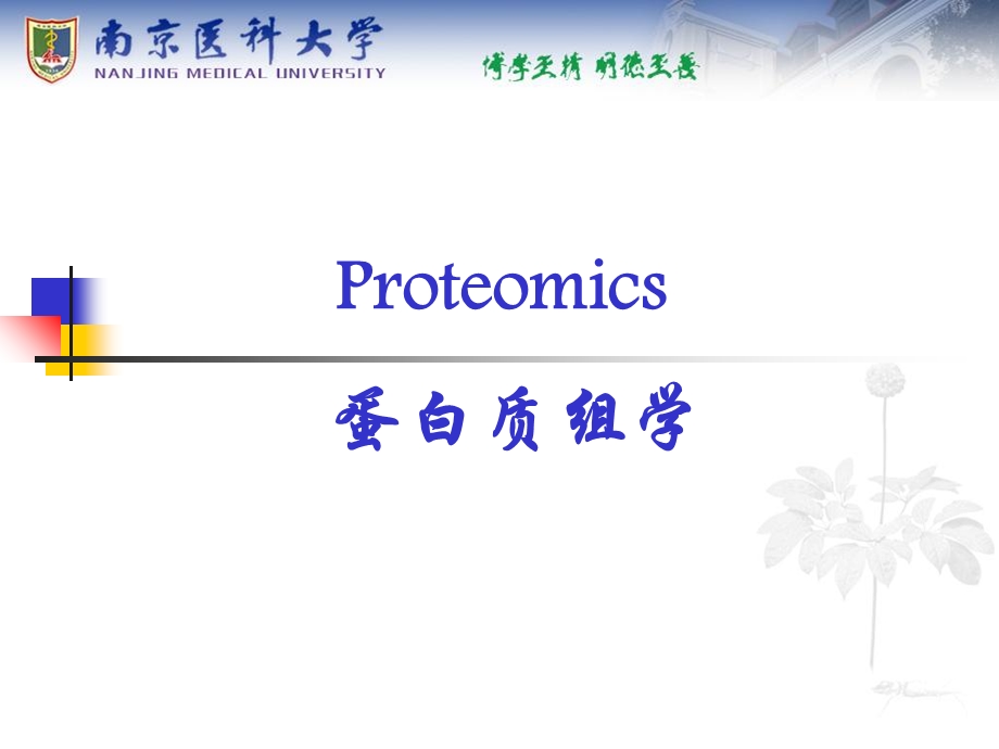 蛋白质组学proteomicswxj.ppt_第1页