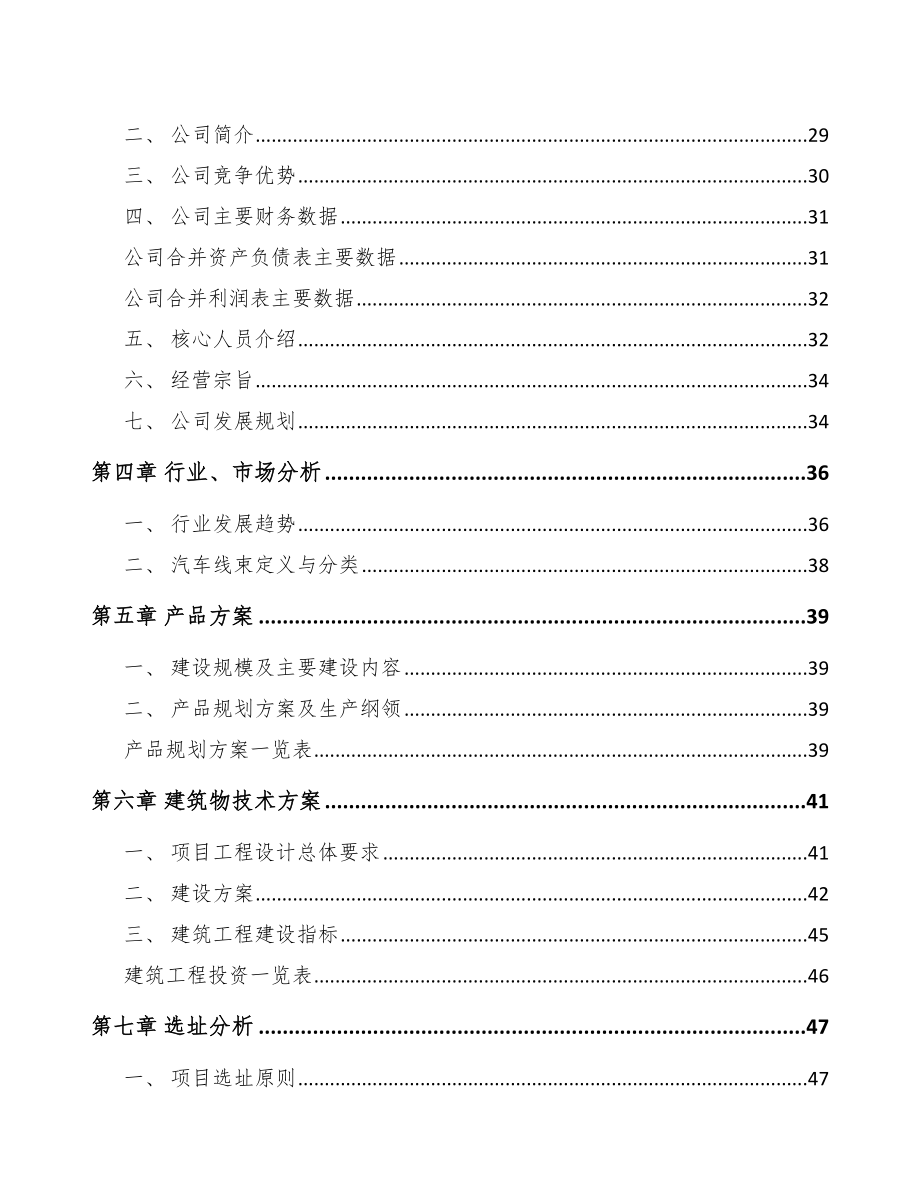 岳阳汽车线束项目可行性研究报告.docx_第2页