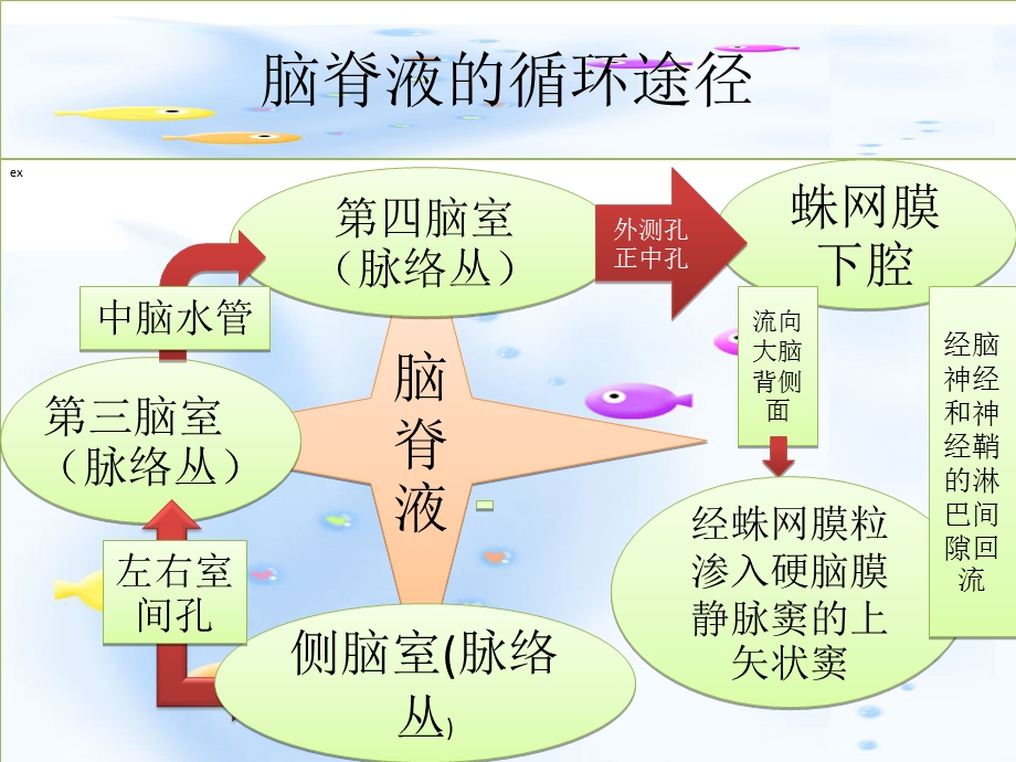 颅脑术后脑室引流的护理.ppt_第3页