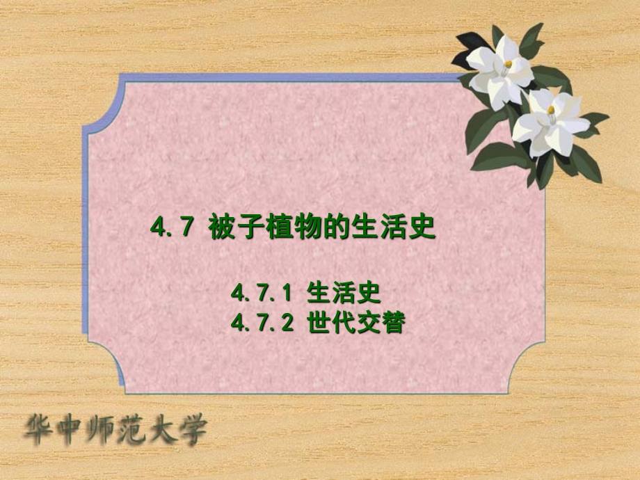 被子植物的生活史.ppt_第1页