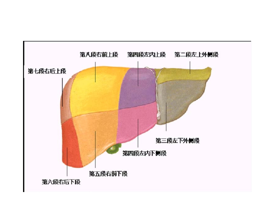 肝脏Couinaud(奎诺)分段.ppt_第2页
