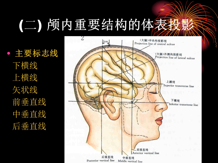 颅脑应用解剖学.ppt_第3页