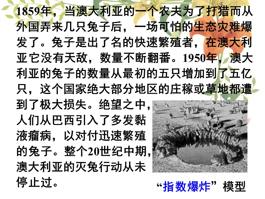 函数模型及其应用(全课时).ppt_第3页