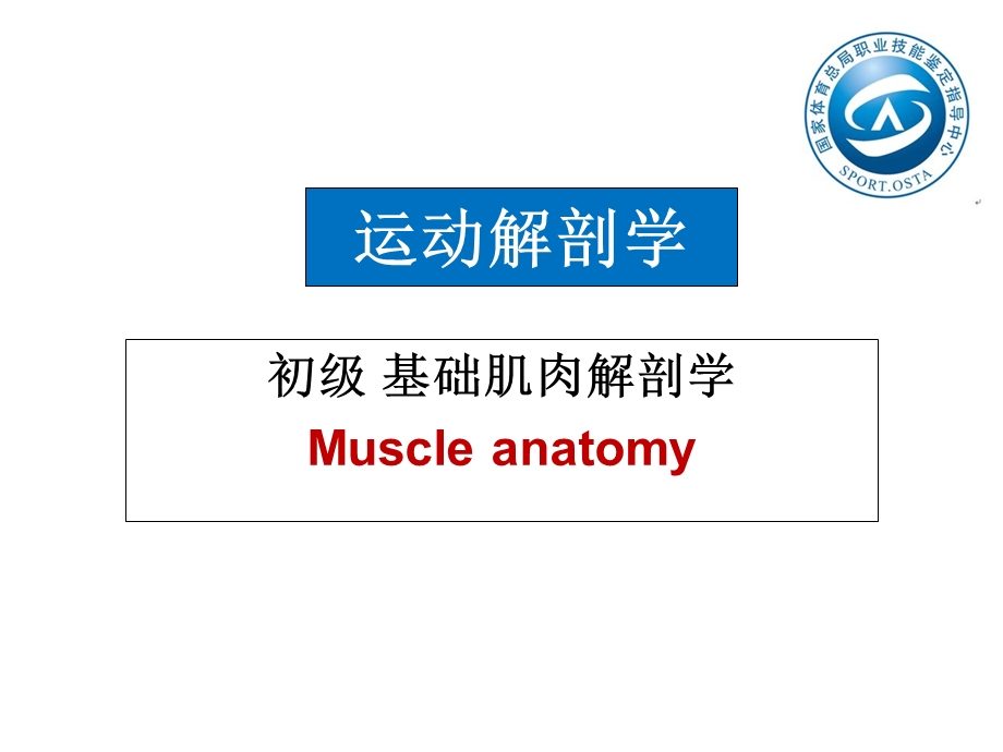 国职初级肌肉功能解剖.ppt_第1页