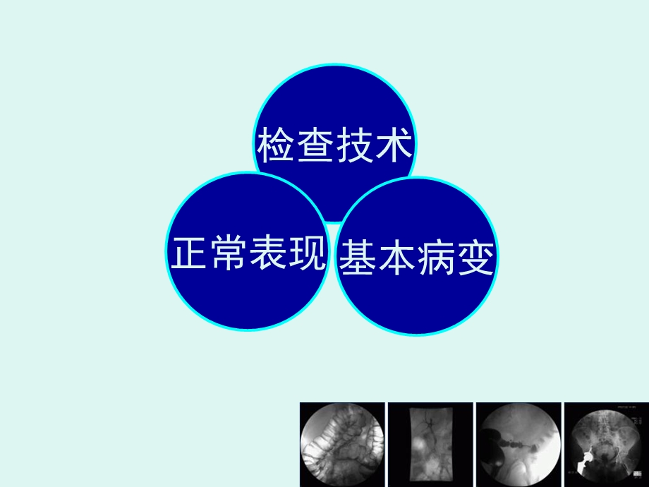 呼吸系统正常影像.ppt_第2页