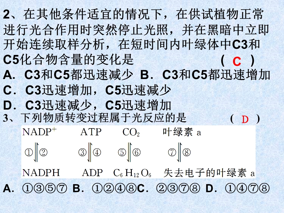 光能的捕获与利用(三).ppt_第3页