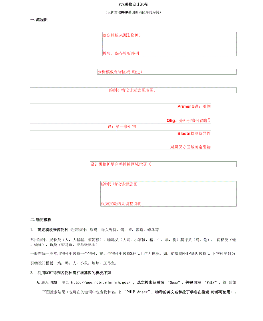 引物设计流程.docx_第1页