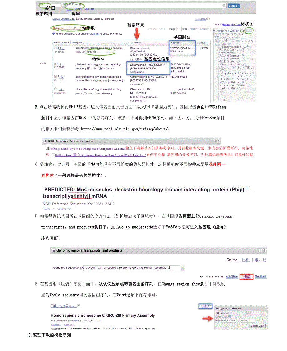引物设计流程.docx_第2页