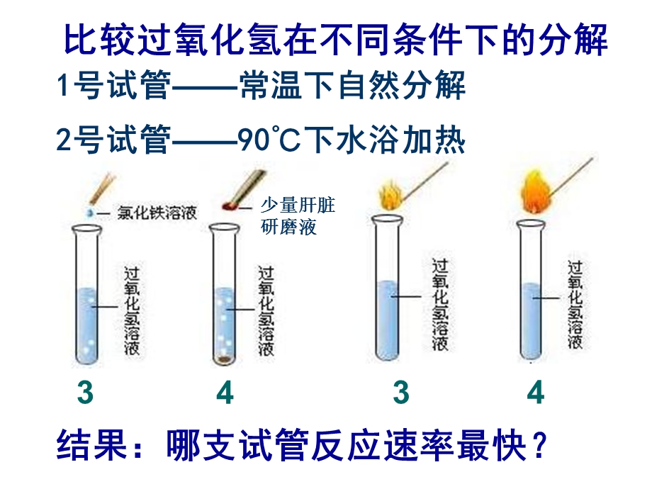 酶的特性-讲课.ppt_第3页