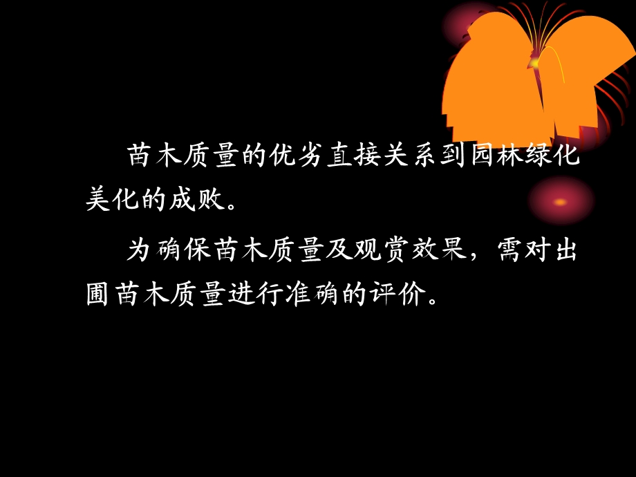 苗木质量评价与出圃ppt课件.ppt_第2页