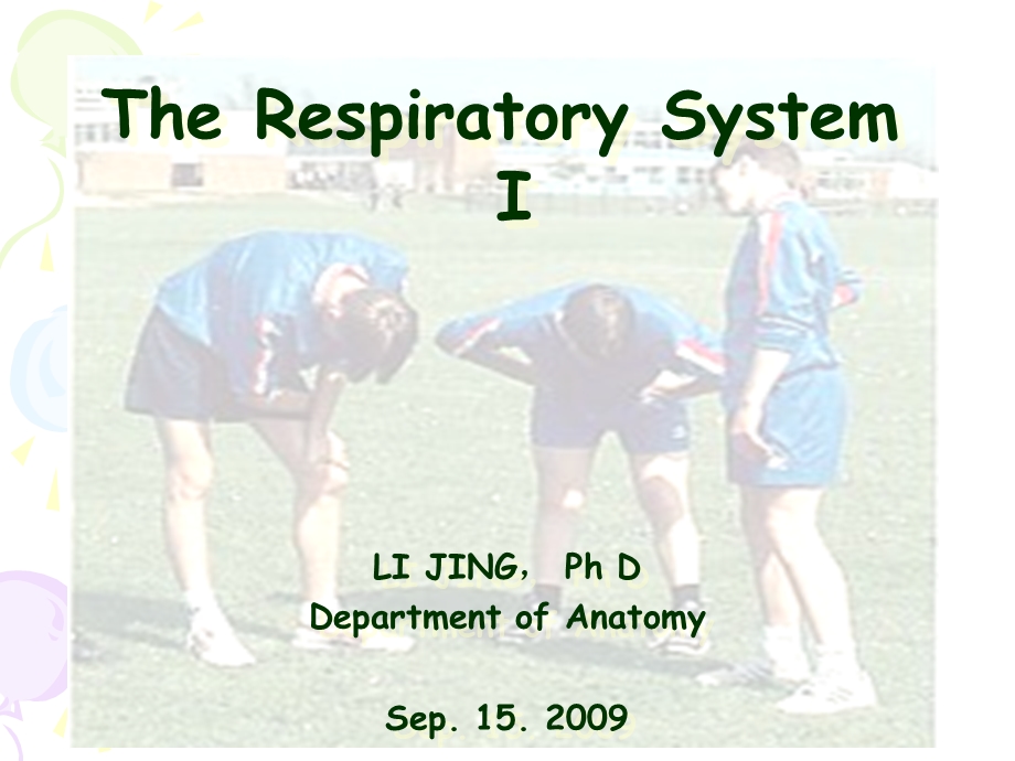 呼吸系统解剖学医学.ppt_第1页
