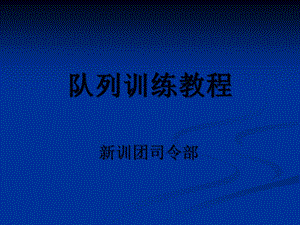 队列训练教程.ppt