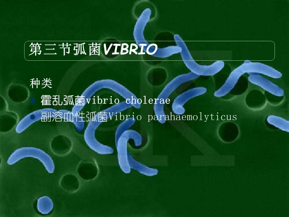 霍乱弧菌弧菌VIBRI.ppt_第1页