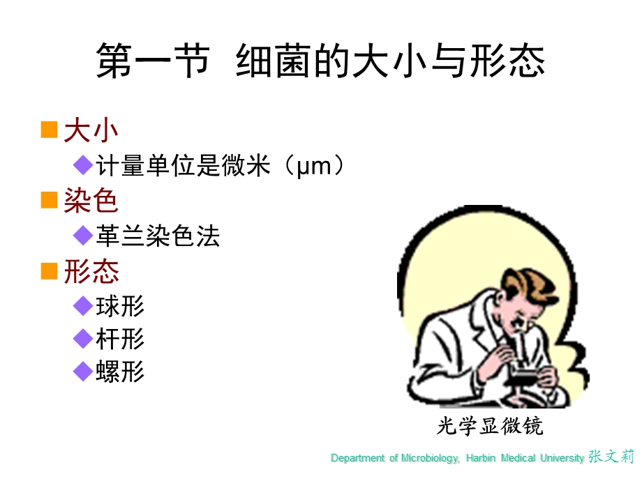 微生物学第一章细菌的形态与结构.ppt_第3页