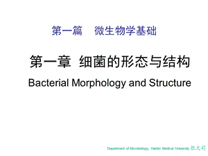 微生物学第一章细菌的形态与结构.ppt