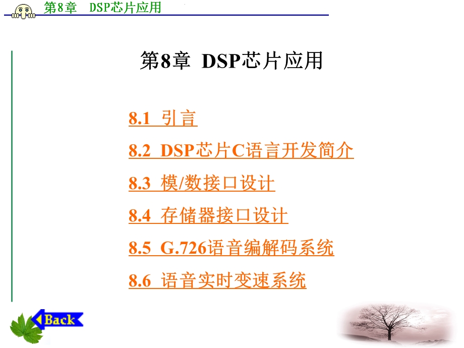DSP芯片应用PPT课件.ppt_第1页