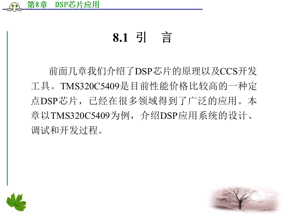 DSP芯片应用PPT课件.ppt_第2页