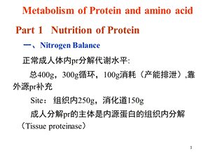 川大学考研生化课件第11章蛋和氨基酸.ppt