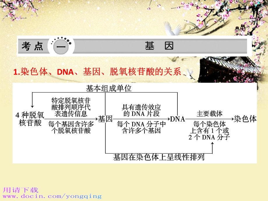 高一生物：第三章《第四节 遗传信息的表达-RNA和蛋白质的合成》课件8（浙教版必修2）.ppt_第2页