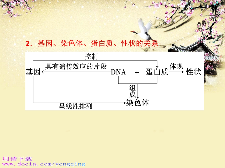 高一生物：第三章《第四节 遗传信息的表达-RNA和蛋白质的合成》课件8（浙教版必修2）.ppt_第3页