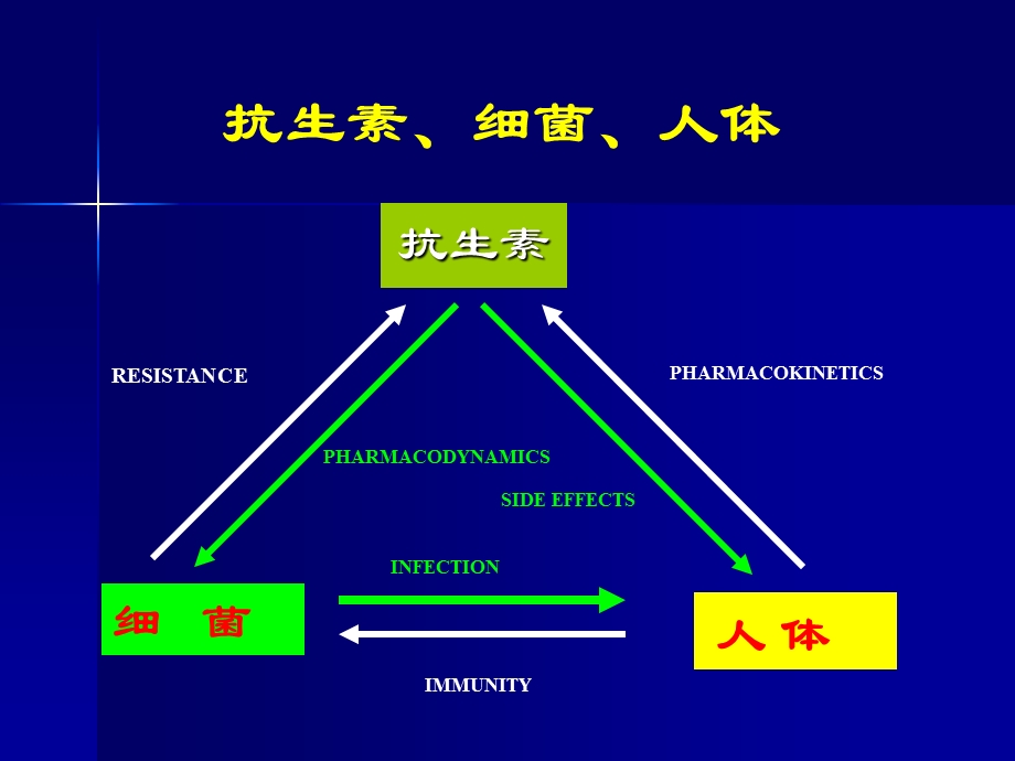 抗生素的合理应用-林棱.ppt_第3页