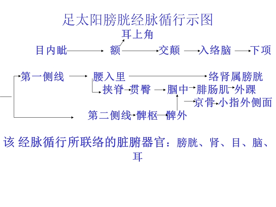 足太阳膀胱经脉循行示图【精品共享-ppt】.ppt_第2页