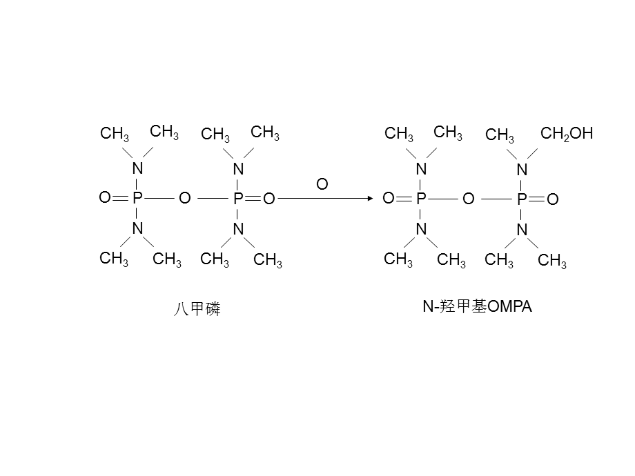 环境生物学化学方程式.ppt_第3页