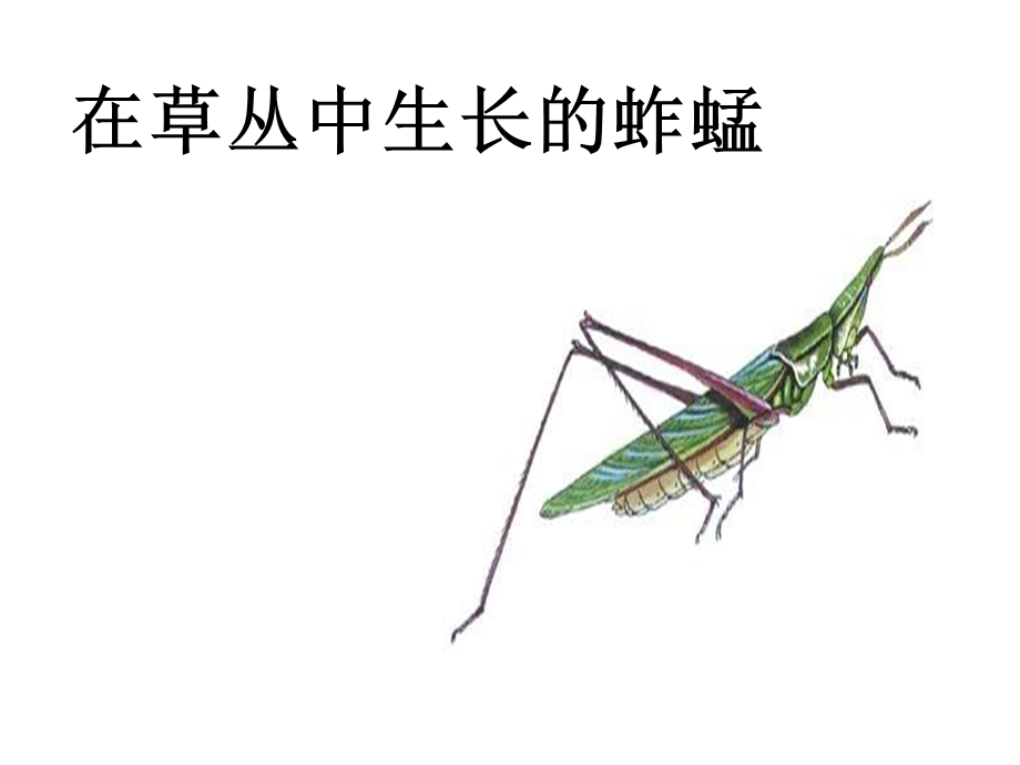 生物科学在向你招手.ppt_第3页