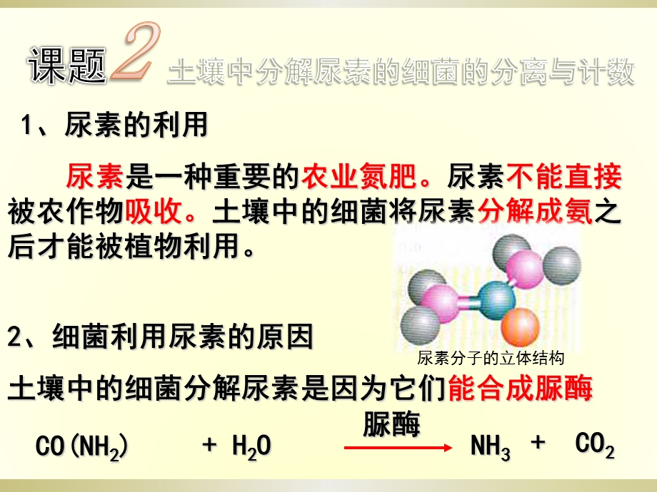 2.2土壤中分解尿素的细菌的分离与计数课件冯惠坚.ppt_第1页