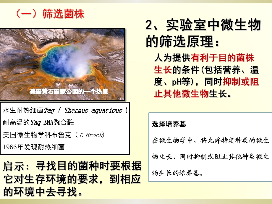 2.2土壤中分解尿素的细菌的分离与计数课件冯惠坚.ppt_第2页