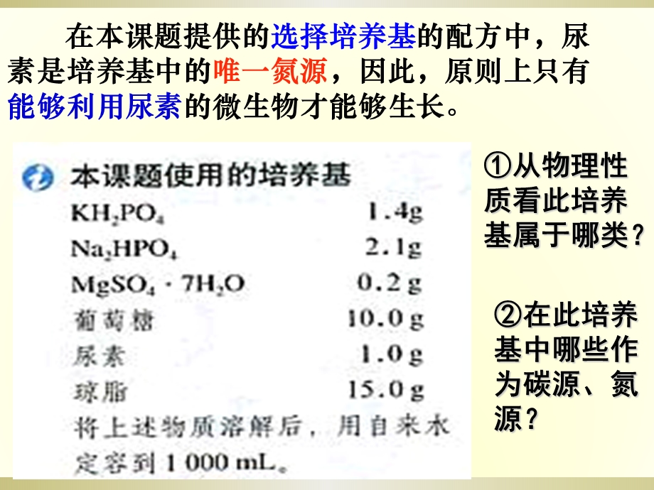 2.2土壤中分解尿素的细菌的分离与计数课件冯惠坚.ppt_第3页