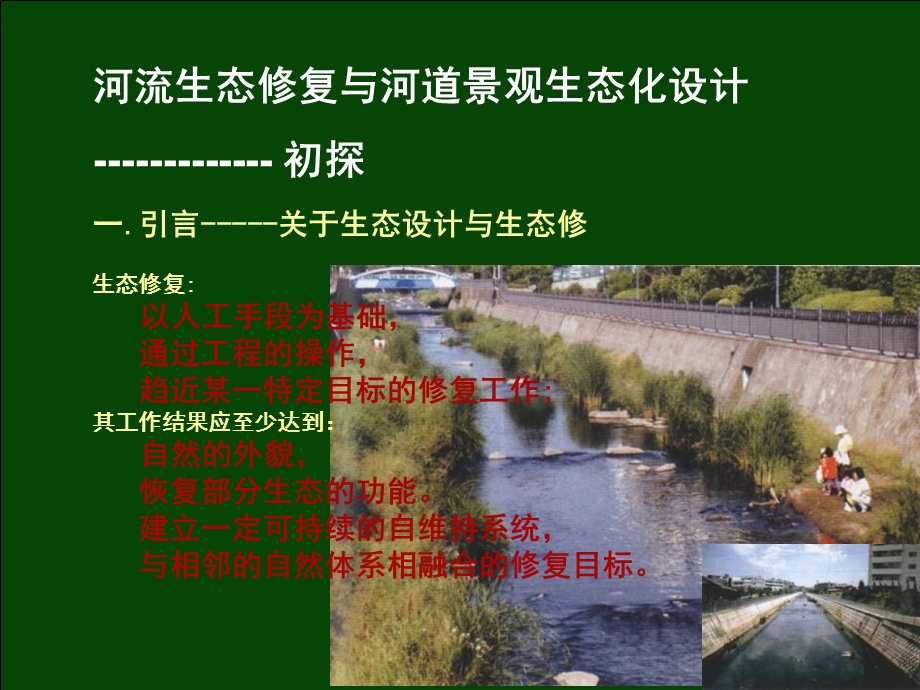 河流生态修复与河道景观生态化设计.ppt_第3页