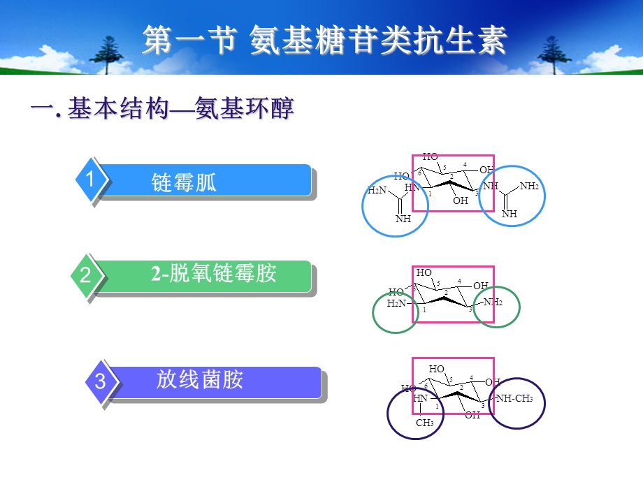 氨基糖苷类及多粘菌素PPT课件.ppt_第3页