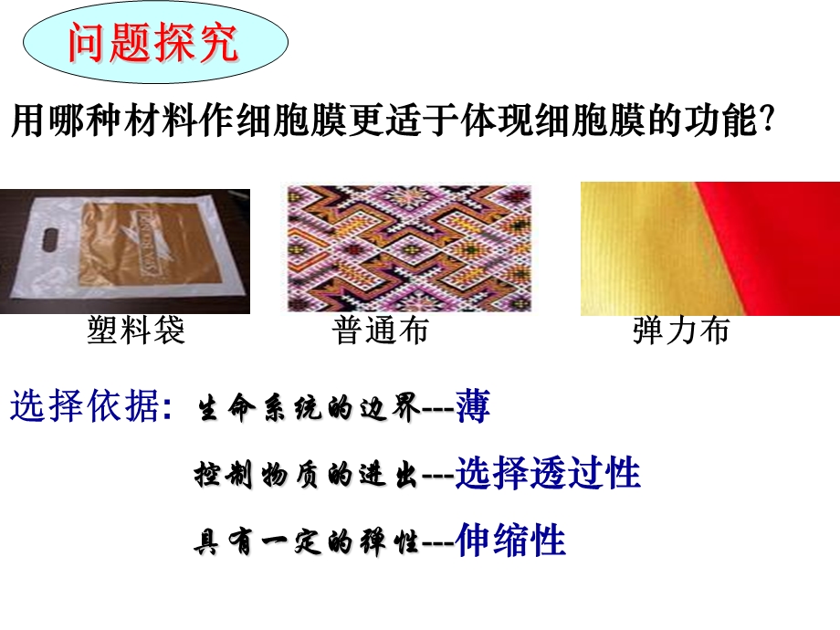 生物膜的流动镶嵌模型公开.ppt_第2页