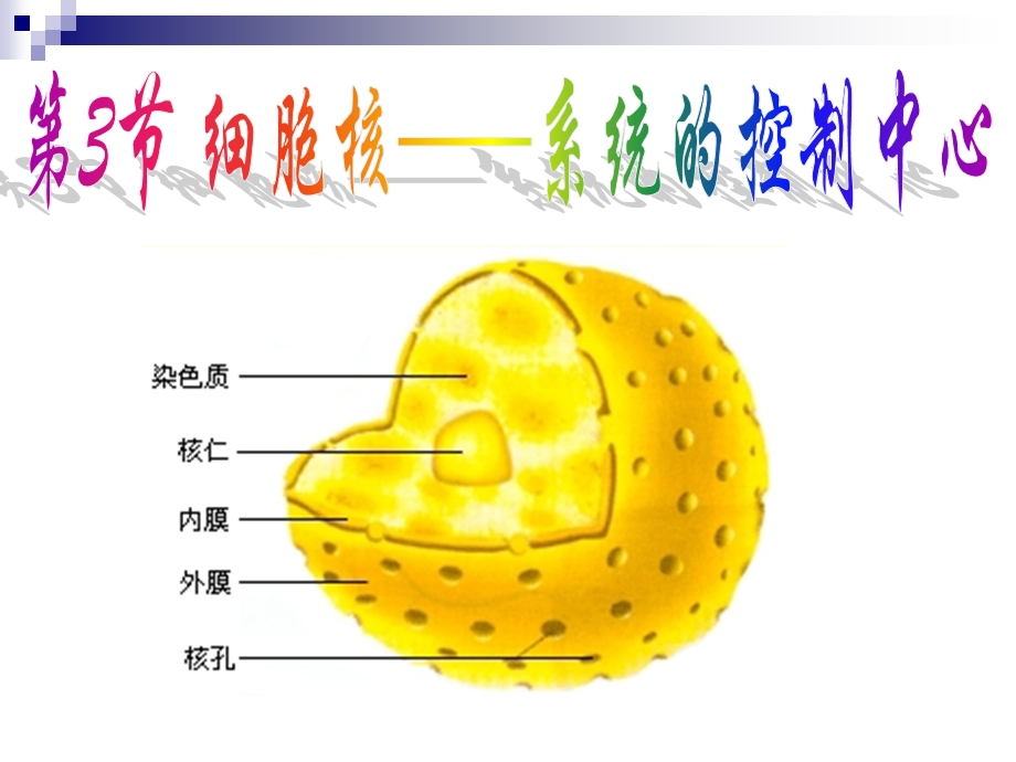 3.3细胞核(李福田).ppt_第2页