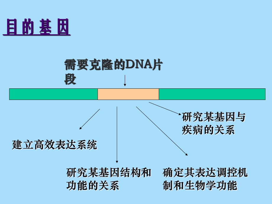 目的基因获得.ppt_第3页