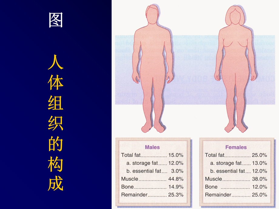 肥胖的预防和控制.ppt_第3页