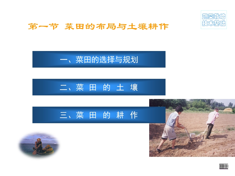 蔬菜栽培学第五章技术基础.ppt_第3页