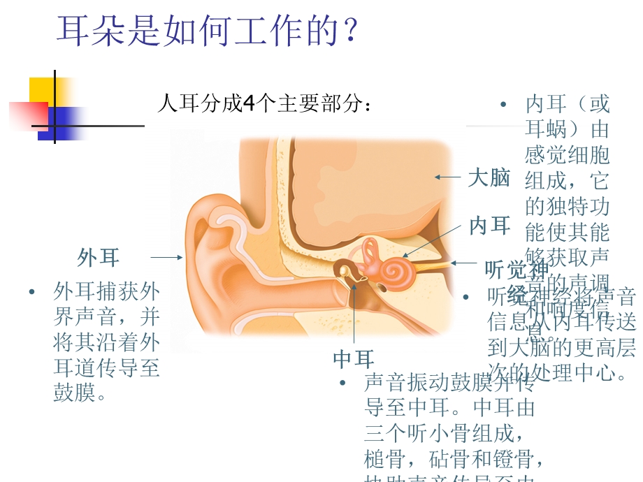 听力损失及防治.ppt_第3页