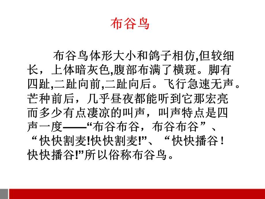 音乐下册布谷课件苏教.ppt_第3页