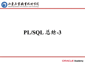 LSQL总结-3(异常处理及嵌套块).ppt