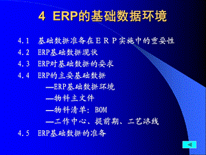 ERP第04章ERP的基础数据环境.ppt