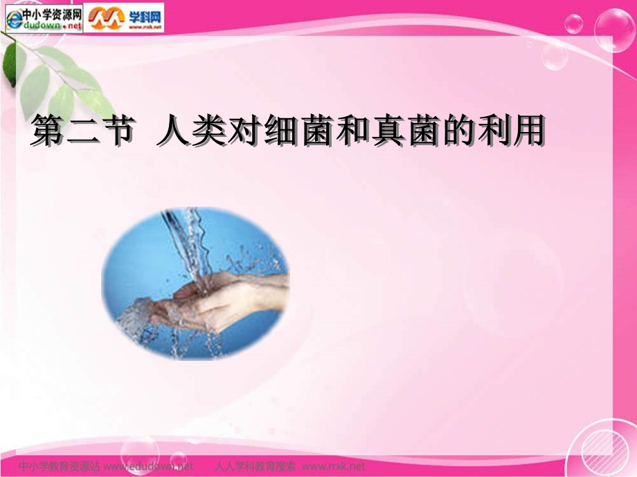 《人类对细菌和真菌的利用》.ppt_第1页