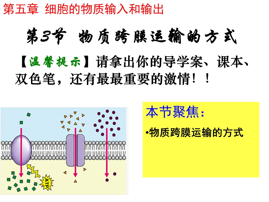 人教版高一生物必修一物质跨膜运输的方式.ppt_第2页