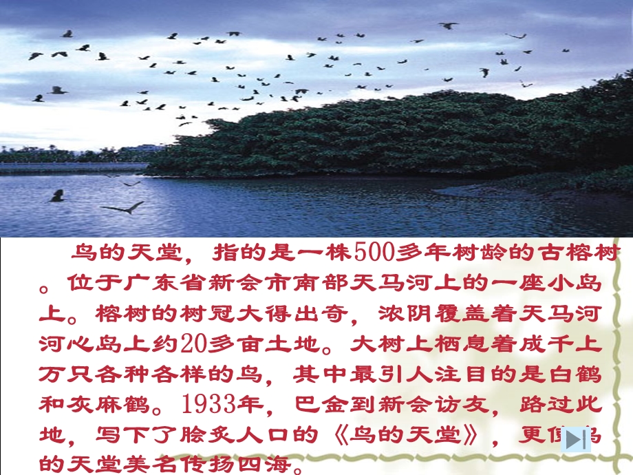 人教版四年级语文上册鸟的天堂.ppt_第2页