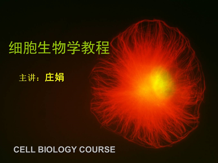 分子生物学本科ppt第一章.ppt_第1页