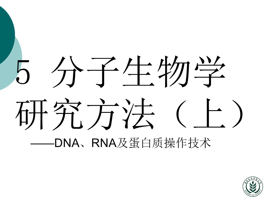 分子生物学实验方法-1分子生物学.ppt_第1页