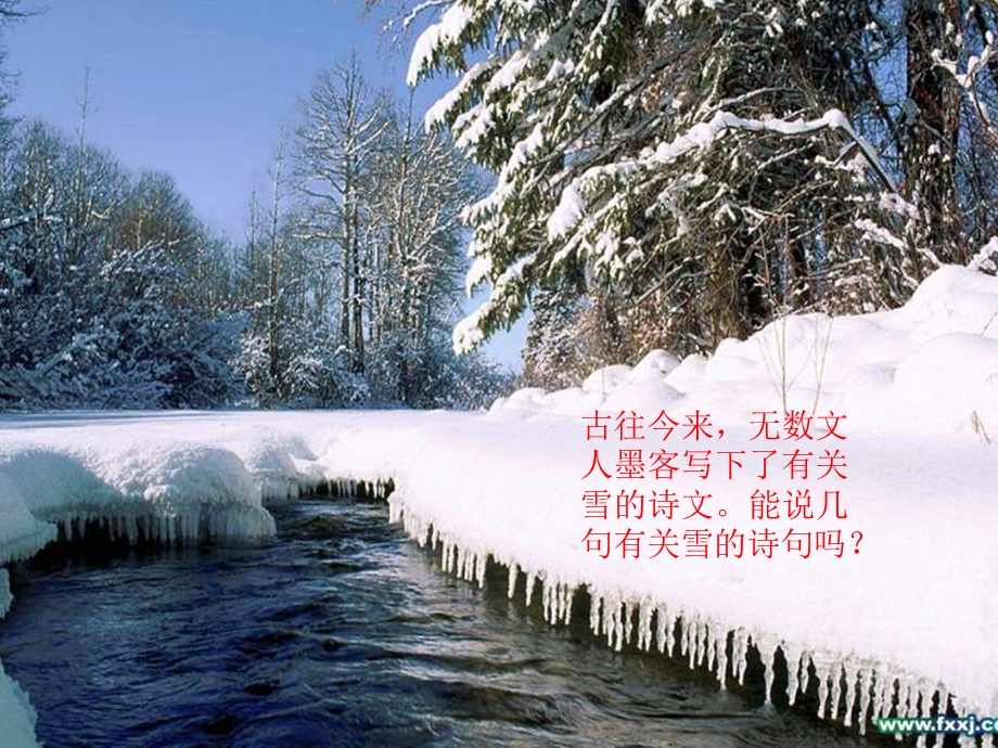 八年级语文下册-鲁迅的散文诗《雪》课件-人教新课标版.ppt_第3页